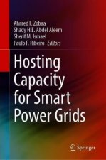 Hosting Capacity for Smart Power Grids