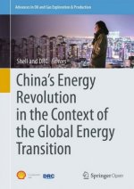 China's Energy Revolution in the Context of the Global Energy Transition