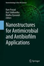 Nanostructures for Antimicrobial and Antibiofilm Applications