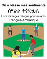 Français-Amharique On a blessé mes sentiments/ስሜቴ ተጎድቷል Livre d'images bilingue pour enfants