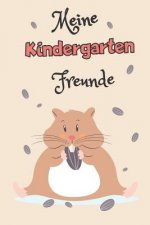 Meine Kindergartenfreunde: A5 Freundebuch / Kindergartenfreundebuch / Meine Kindergartenfreunde für Mädchen und Jungen im Kindergarten