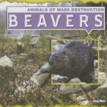 Beavers:
