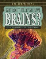 Why Don't Jellyfish Have Brains?: And Other Odd Invertebrate Adaptations