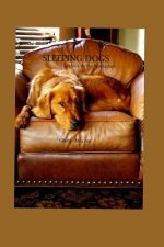 Sleeping Dogs: ...Ethics in the Workplace