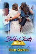 Bible Chicks (Book 1)
