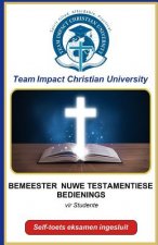 Bemeester Nuwe Testamentiese Bedienings