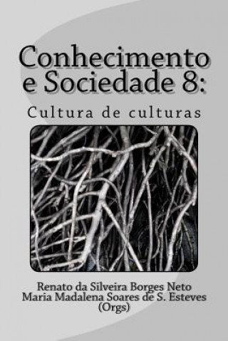 Conhecimento e Sociedade 8: : Cultura de culturas