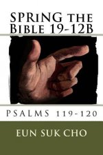 SPRiNG the Bible 19-12B