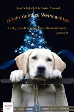 (k)Ein Hund Zu Weihnachten: Lucky, Aus Dem Leben Eines Tierheimhundes