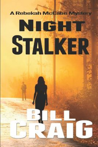 Night Stalker: A Rebekah McCabe Mystery
