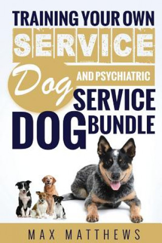 Service Dog: Training Your Own Service Dog AND Psychiatric Service Dog BUNDLE! (Max Matthews)(Miękka)