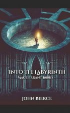 Into the Labyrinth: Mage Errant Book 1