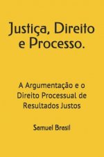 Justiça, Direito e Processo.: A Argumentaç?o e o Direito Processual de Resultados Justos