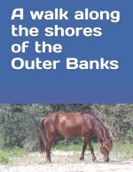 A walk along the shores of the Outer Banks: A senior reader picture book / travel magazine for memory care / dementia care