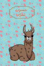 Agenda Lama: Agenda Perp