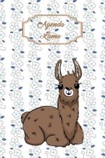 Agenda Lama: Agenda Perp