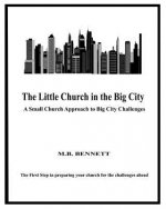 The Little Church in the Big City: A Small Church Approach to Big City Challenges: Introduction/Instructions