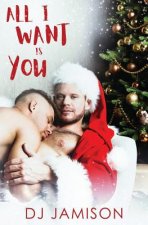 All I Want Is You: A Gay Holiday Romance