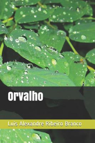 Orvalho