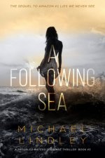 A Following Sea: A gripping tale of suspense, love and betrayal set in the Low Country of South Carolina.