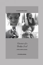 Diaries of a Broken Soul