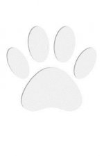 Print of Paper Cut Dog Paws