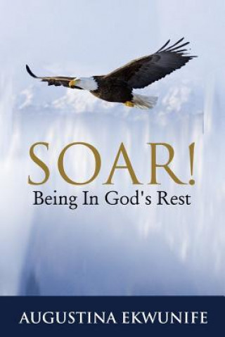 Soar!: Being In God's Rest.