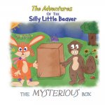 The Mysterious Box