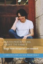 Youth Perceptions about the Family: Sogy: New Imageries Are Needed.