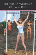 The Public Whipping of Lady Jane: (A Spanking Good Fairytale)