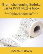 Brain challenging Sudoku Large Print Puzzle book: Sudoku Puzzle Book with Many Pages, Huge Print and Lightweight with Variety of Levels