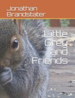 Little Grey and Friends