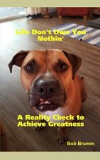 Life Don't Owe You Nothin': A Reality Check to Achieve Greatness