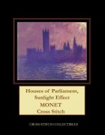 Houses of Parliament, Sunlight Effect