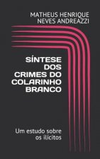 Síntese dos Crimes de Colarinho Branco: Um estudo sobre os ilícitos