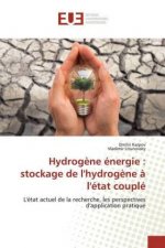 Hydrog?ne énergie : stockage de l'hydrog?ne ? l'état couplé