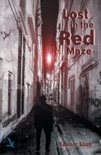 Lost In The Red Maze
