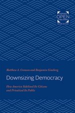 Downsizing Democracy
