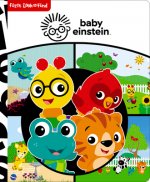 Baby Einstein: First Look and Find: First Look and Find