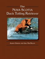 The Nova Scotia Duck Tolling Retriever