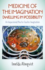Medicine of the Imagination: Dwelling in Possibi - An Impassioned Plea for Fearless Imagination