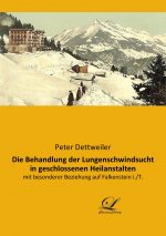 Die Behandlung der Lungenschwindsucht in geschlossenen Heilanstalten