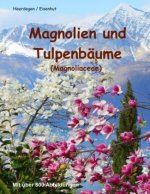 Magnolien und Tulpenbäume