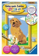 Ravensburger Malen nach Zahlen 28511 - Kleiner Golden Retriever- Kinder ab 7 Jahren