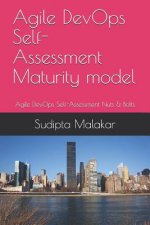 Agile DevOps Self-Assessment Maturity model: Agile DevOps Self-Assessment Nuts & Bolts