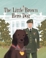 Little Brown Hero Dog
