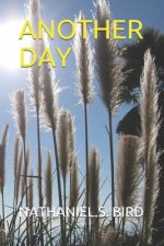 Another Day