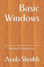 Basic Windows: Microtech Computers Inc