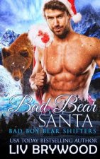 Bad Bear Santa