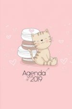 Agenda 2019: Agenda Mensual Y Semanal + Organizador I Cubierta Con Tema de Gatos Enero 2019 a Diciembre 2019 6 X 9in